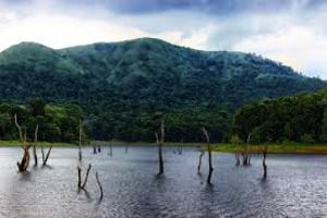 Periyar