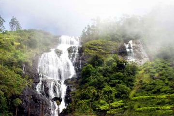 Ecstatic 5 Days Alleppey, Thekkady, Munnar with Kochi Trip Package