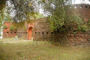Pleasurable Assam Tour Package for 5 Days