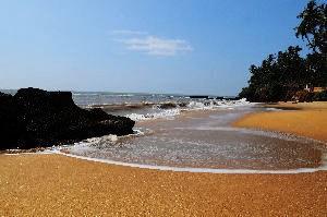 Kannur