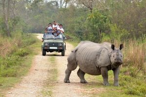 Orang National Park