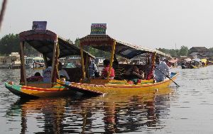 Shikara Ride