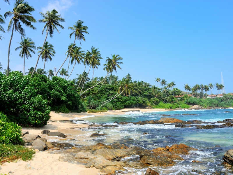 Sri lanka
