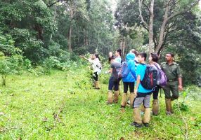 Border Hiking 